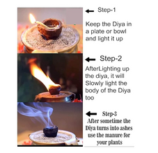 Panchagavya Diyas – Made from Desi Cow Dung ( Brown) – Ideal for Diwali & Puja Rituals | गोमय वसते लक्ष्मी