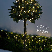 LED string lights with flower design, multi-color