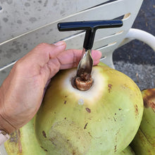 Stainless Steel Coconut Breaker with T-Handle