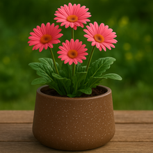 ROTO Tiny Pot – Modern Compact Planter for Stylish Spaces