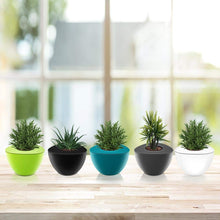 Triangle Pots