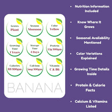 TodFod Fruit Flash Cards for Nursery & Kindergarten