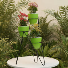 Convex 12 Pots With Ring