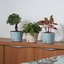 Cube Painted Planter Pot