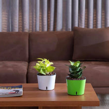 Cube Pots - Set of 4
