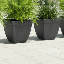 Roto Dove White Square Plant