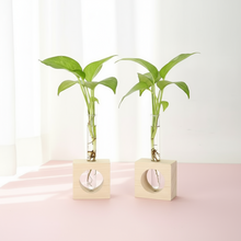 Test Tube Planter – TTP1 - Set of 2