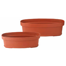Money Plant Golden Combo with Eco, Cone, Recta Self-Watering & Oval Pots (4 Pots)