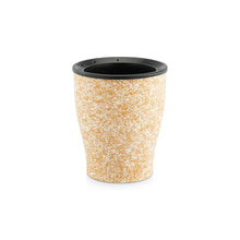 Peace Lily Plant + 4 Designer Pots | Roto Dove White, Eco, Cone Painted & Cube Painted