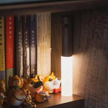 Wooden Motion Sensor Light