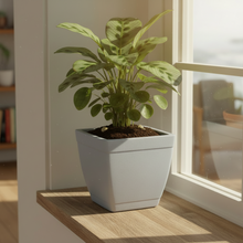 Roto Dove White Square Planter