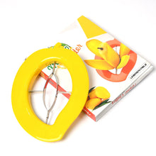 Stainless Steel Mango Cutter Slicer with Non-Slip Handle (1 Pc)