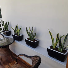 Recta Small Self-Watering Planter Pot