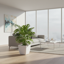 Roto Dove White Square Planter