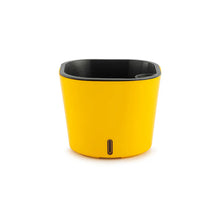 Cube Pots - Set of 4